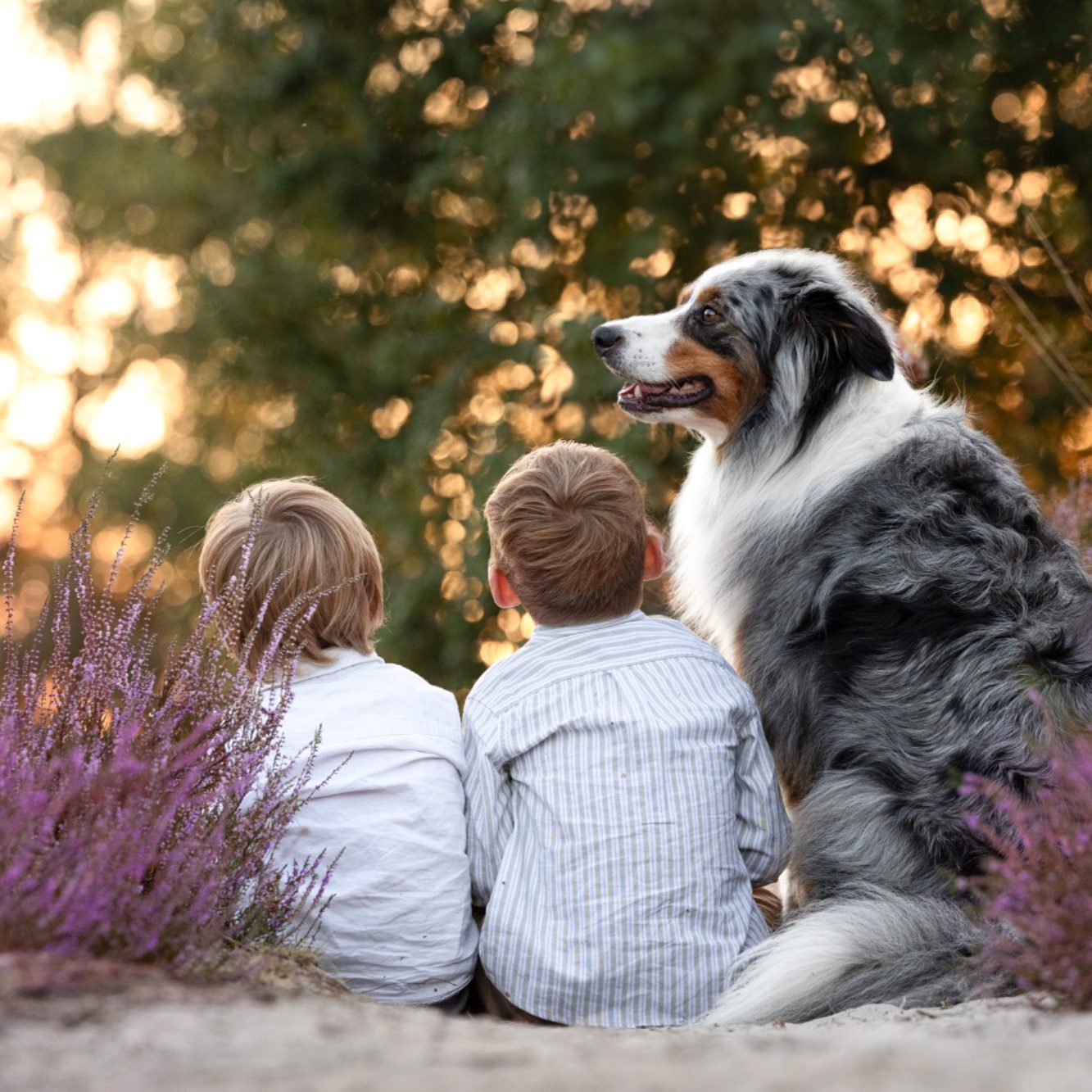 Geschwisterfoto mit Familienhund in Gifhorn